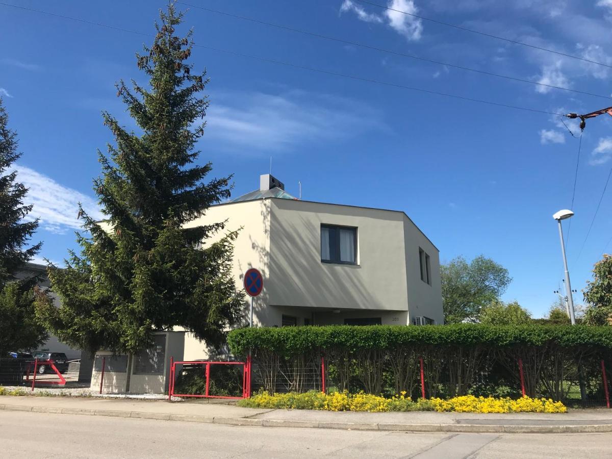 Pension Pegast Ceske Budejovice Bagian luar foto